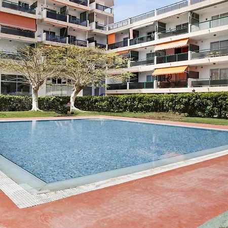 Stunning Holidays, Large Terrace On The Sea Los Cristianos